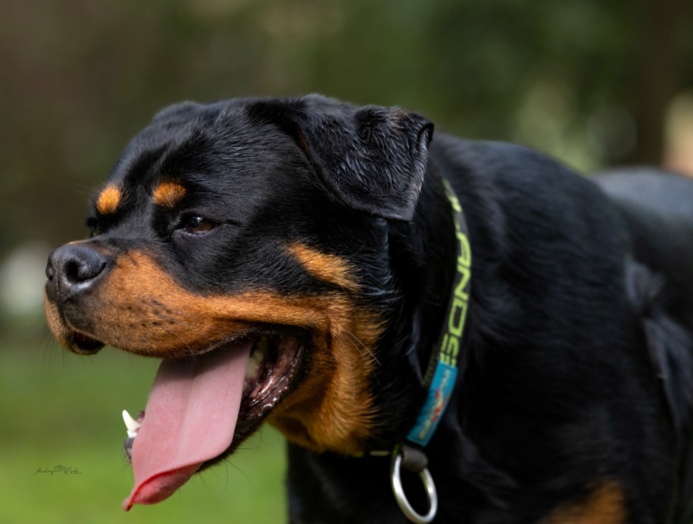 Viktoria von der wharen kraft