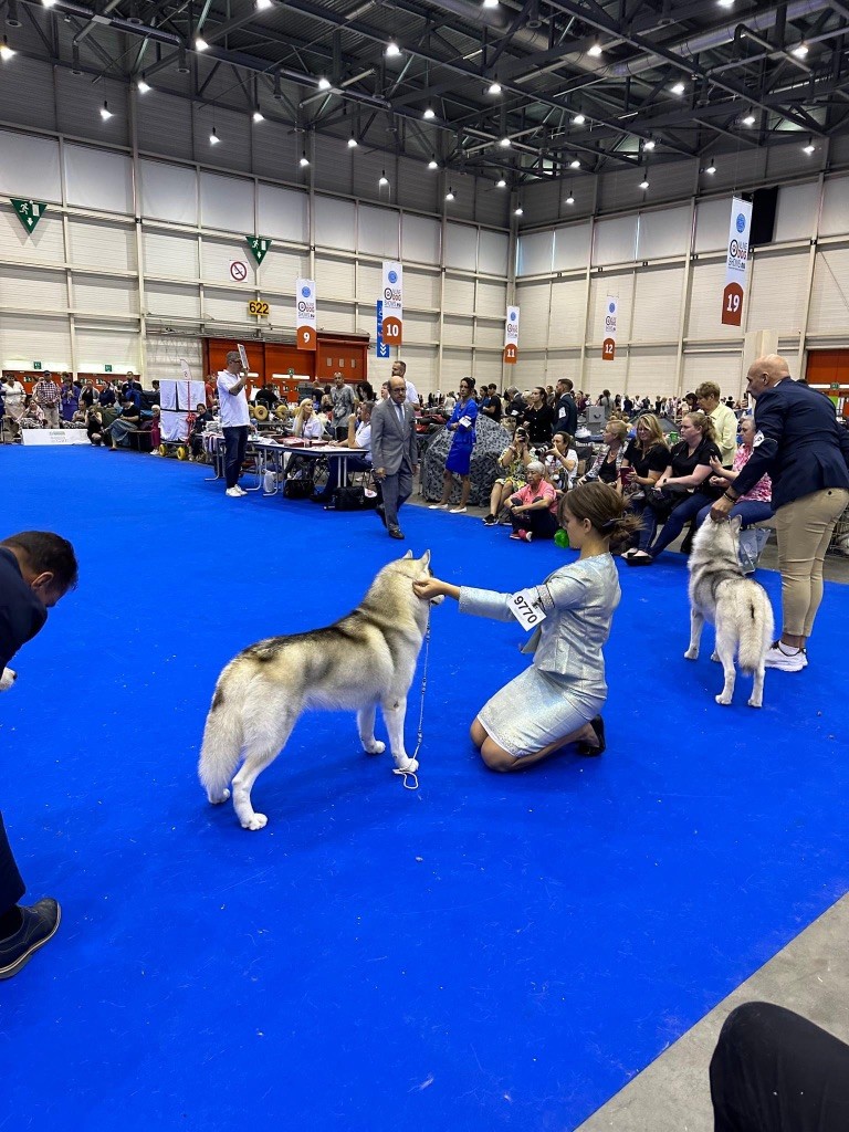 Championnat du monde